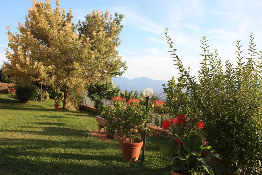 La Casa Dei Limoni Διαμέρισμα Matraia Εξωτερικό φωτογραφία